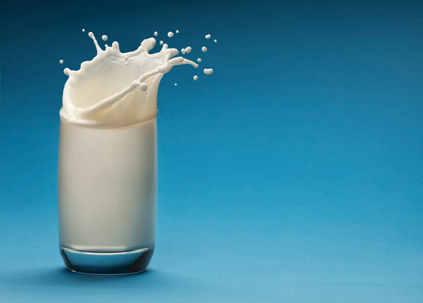 Súťažné mlieko - competition milk