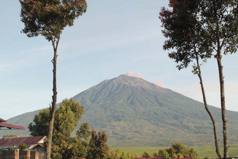 Kerinci - výberová káva